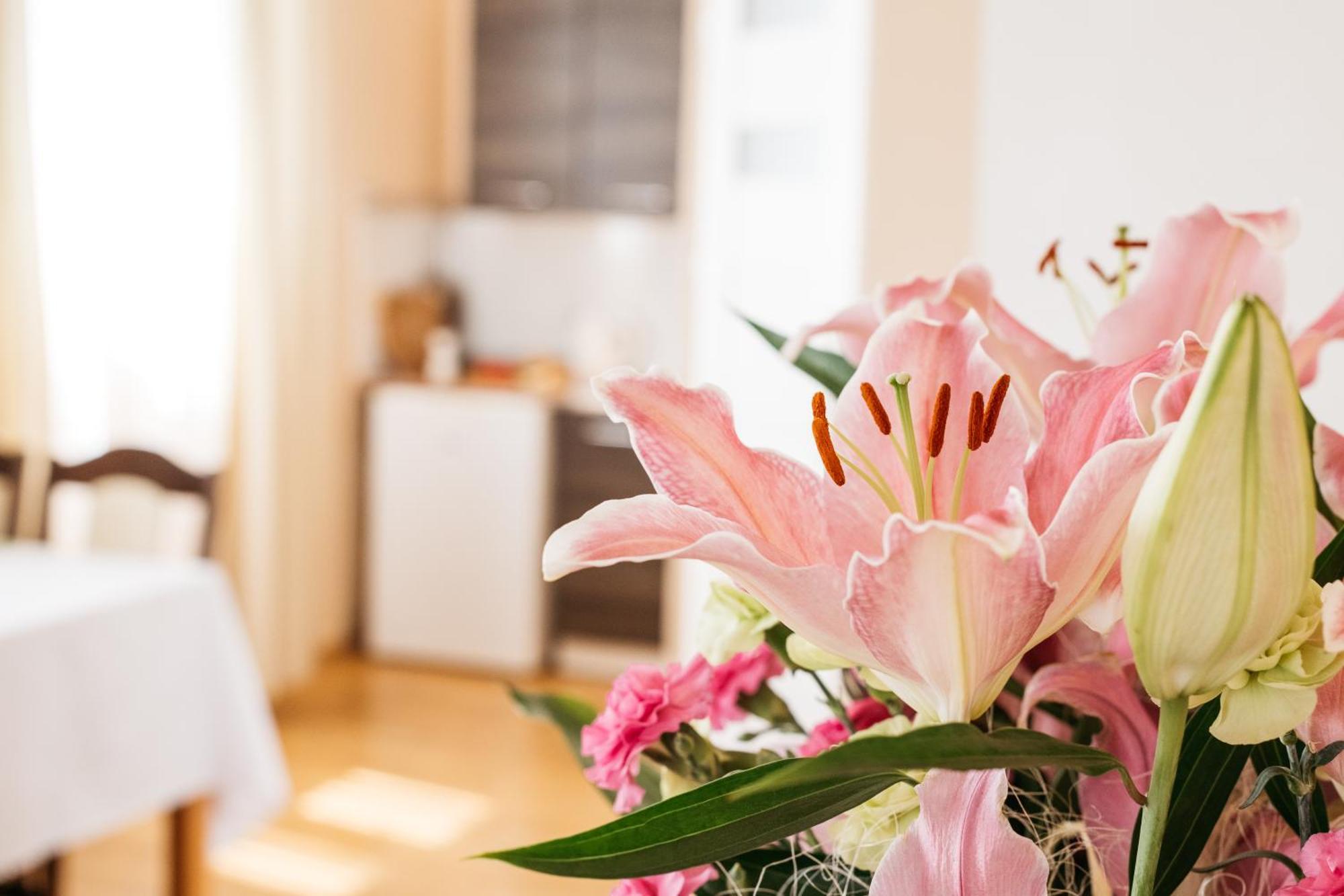 Apartamenty Baltyckie Wladyslawowo Ngoại thất bức ảnh